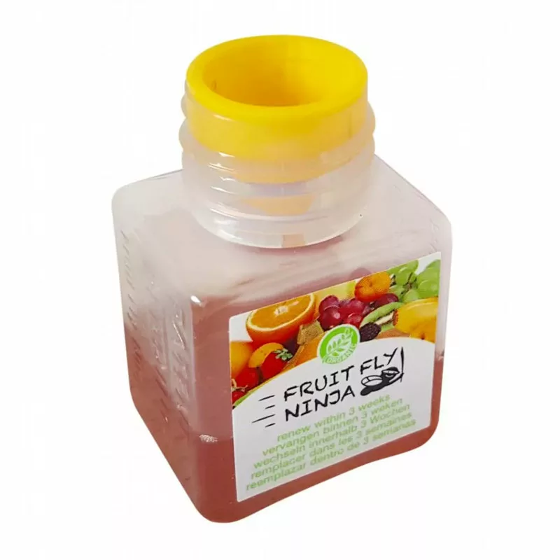 3x Fruit Fly Ninja Australia